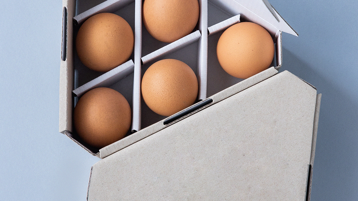 Pecking Order Egg-Carton Dozen Cardboard in the Food Storage